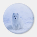 Pesquisar por clima imas Natureza