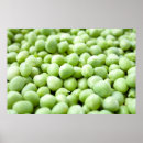 Pesquisar por agricultura pôsteres pósteres Vegetal