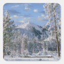 Pesquisar por yellowstone national park adesivos Inverno