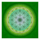 Pesquisar por mandalas pôsteres pósteres Reiki