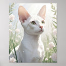 Pesquisar por gato sphynx pôsteres pósteres Para todos