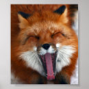 Pesquisar por raposa feliz pósteres Para todos