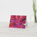 Pesquisar por gerbera cartoes Flower