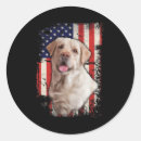Pesquisar por bandeira amarela adesivos Liberdade