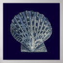 Pesquisar por shells pósteres Concha marítima