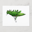 Pesquisar por besouro verde cartoes postais Natureza