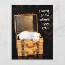 Pesquisar por luna cartoes postais Cachorros