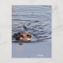 Pesquisar por porte postal da vida Animais