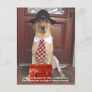 Pesquisar por labrador retriever amarelo cartoes postais Amante de cachorro