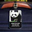 Pesquisar por província bagagem tags Urso
