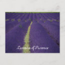 Pesquisar por provence cartoes postais Flores