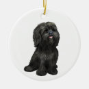 Pesquisar por shih tzu ornamentos Fofo
