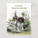Pesquisar por gesso convites Spaniel