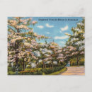 Pesquisar por dixieland Sul