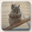 Pesquisar por galhos porta copos Fotografia