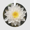 Pesquisar por lotus ornamentos Rosa