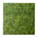 Pesquisar por azulejo da grama azulejos Gramado