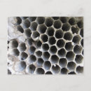 Pesquisar por hexágono cartoes postais Mel