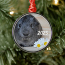 Pesquisar por porco bonito ornamentos Fofofo