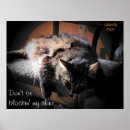 Pesquisar por gato anjo pôsteres pósteres Gatinho