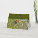 Pesquisar por merde cartoes Engraçado