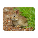 Pesquisar por judy cartoes Jamie