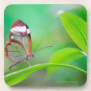 Pesquisar por relaxa porta copos Natureza