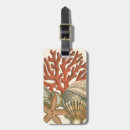 Pesquisar por recife bagagem tags Náutico