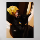 Pesquisar por pintura original pôsteres pósteres Gato