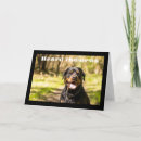 Pesquisar por ouça cartoes Aniversário