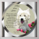 Pesquisar por westies artes pósteres West highland white terrier