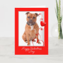 Pesquisar por staffordshire bull terrier cartoes Cachorro