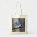 Pesquisar por membro bolsas Natureza