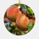 Pesquisar por doce de fruta ornamentos Frutas