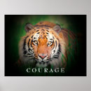 Pesquisar por gatos coloridos pôsteres pósteres Para ela