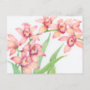 Pesquisar por flores exóticas cartoes postais Rosa