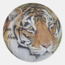 Pesquisar por foto do tigre adesivos Animais selvagens
