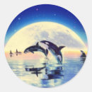 Pesquisar por baleia da orca adesivos Golfinho