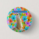 Pesquisar por meerkat botons Suricata
