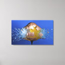 Pesquisar por tiros impressão de canvas Disparo