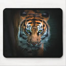 Pesquisar por olho do tigre Natureza