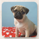 Pesquisar por filhote de cachorro do pug porta copos Animal