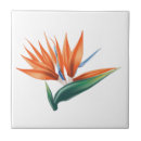 Pesquisar por flor exótica azulejos Botânica