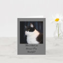Pesquisar por tuxedo cat cartoes Animal