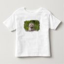 Pesquisar por entusiasmo camisetas Energia