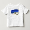 Pesquisar por anguilla camisetas Tropical