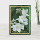 Pesquisar por do jasmim cartoes Para ela