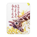 Pesquisar por giraffe imas Manchas