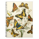 Pesquisar por flores borboleta amarelas escritorio escola Natureza