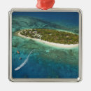 Pesquisar por fiji ornamentos Areia